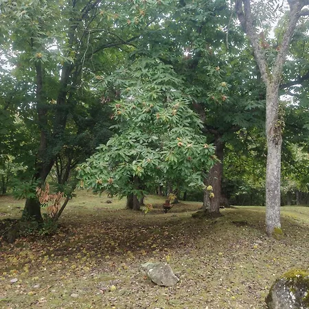 住宿加早餐酒店 Angolo Di Paradiso