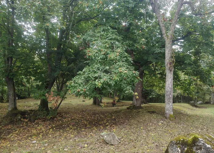 住宿加早餐酒店 Angolo Di Paradiso