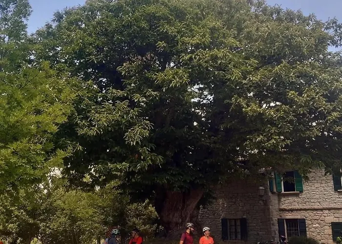 Angolo Di Paradiso *