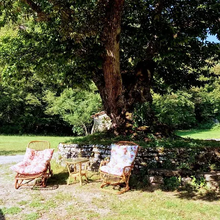 Angolo Di Paradiso * 그리짜나