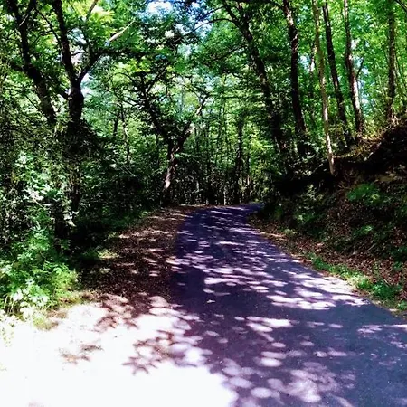 Angolo Di Paradiso B&B 그리짜나